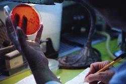 Начаты клинические испытания устройства для извлечения стволовых клеток из жира