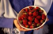 Лесные ягоды защищают от рака кишечника