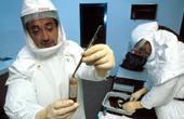 Стволовые клетки будут создавать из тканей умерших людей