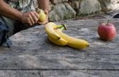 Регулярное потребление бананов способно улучшить сексуальное здоровье мужчины